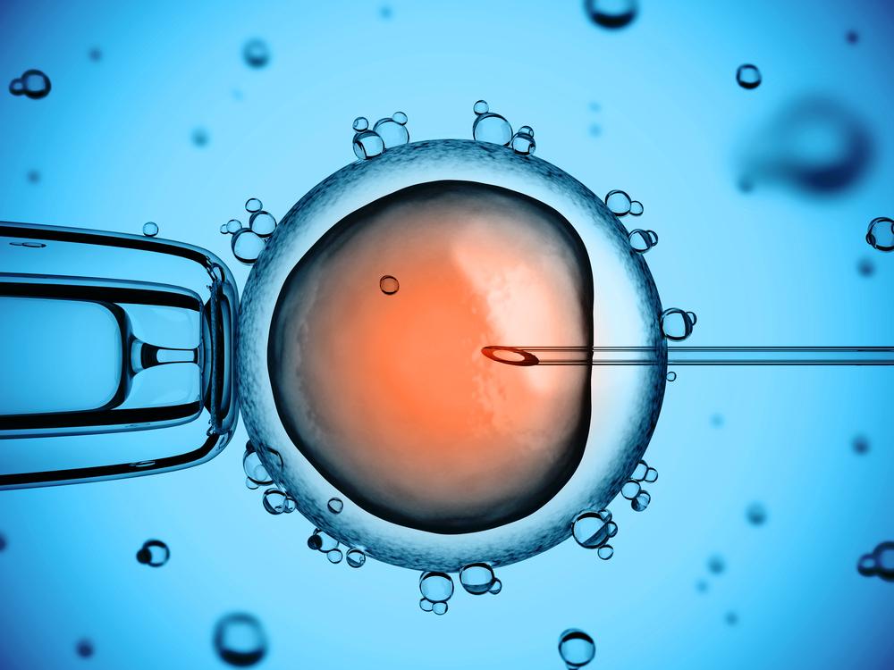 California Divorce Law Are Frozen Embryos Property or Children